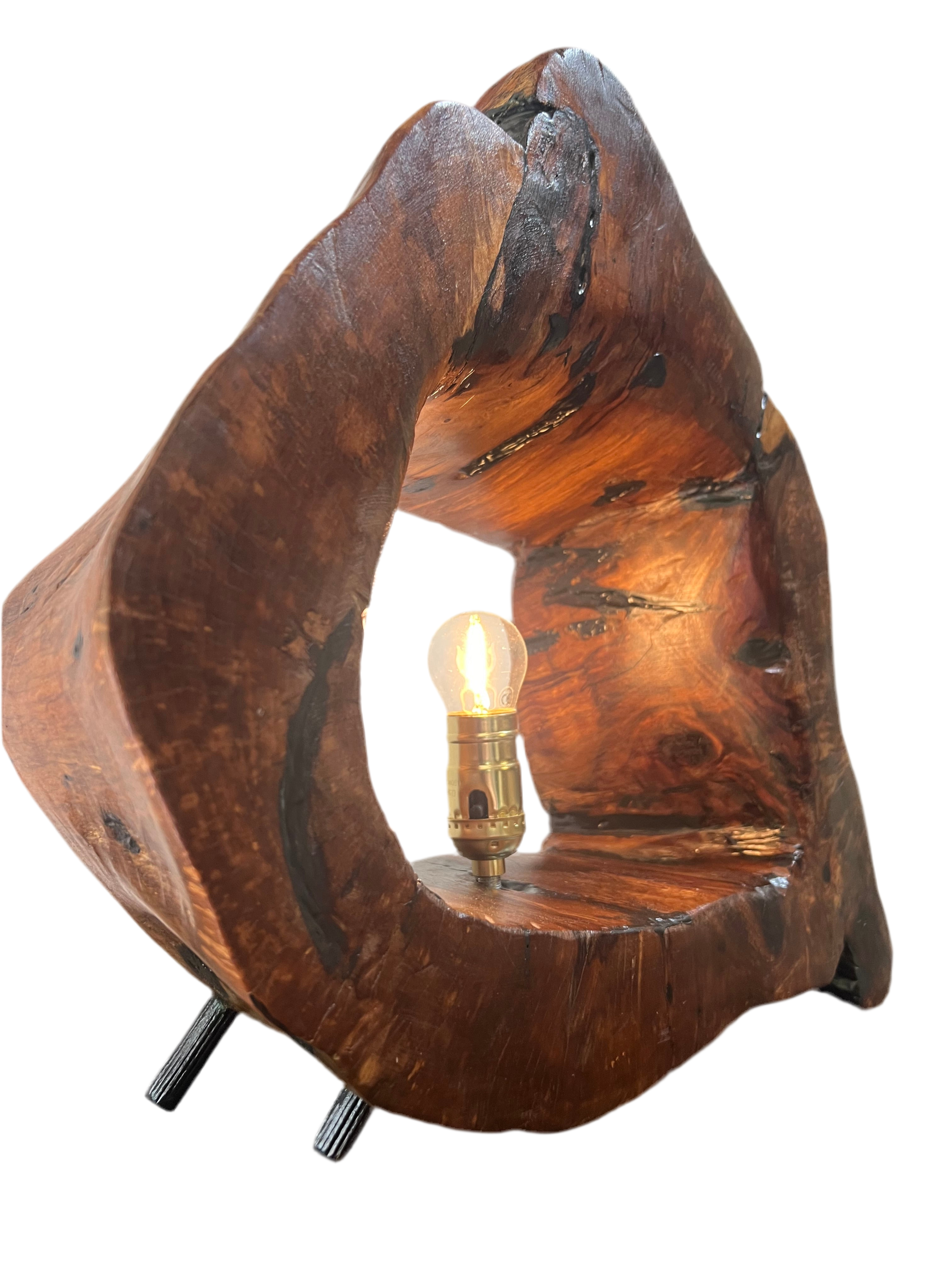 Handmade Casuarina & Epoxy Table Lamp