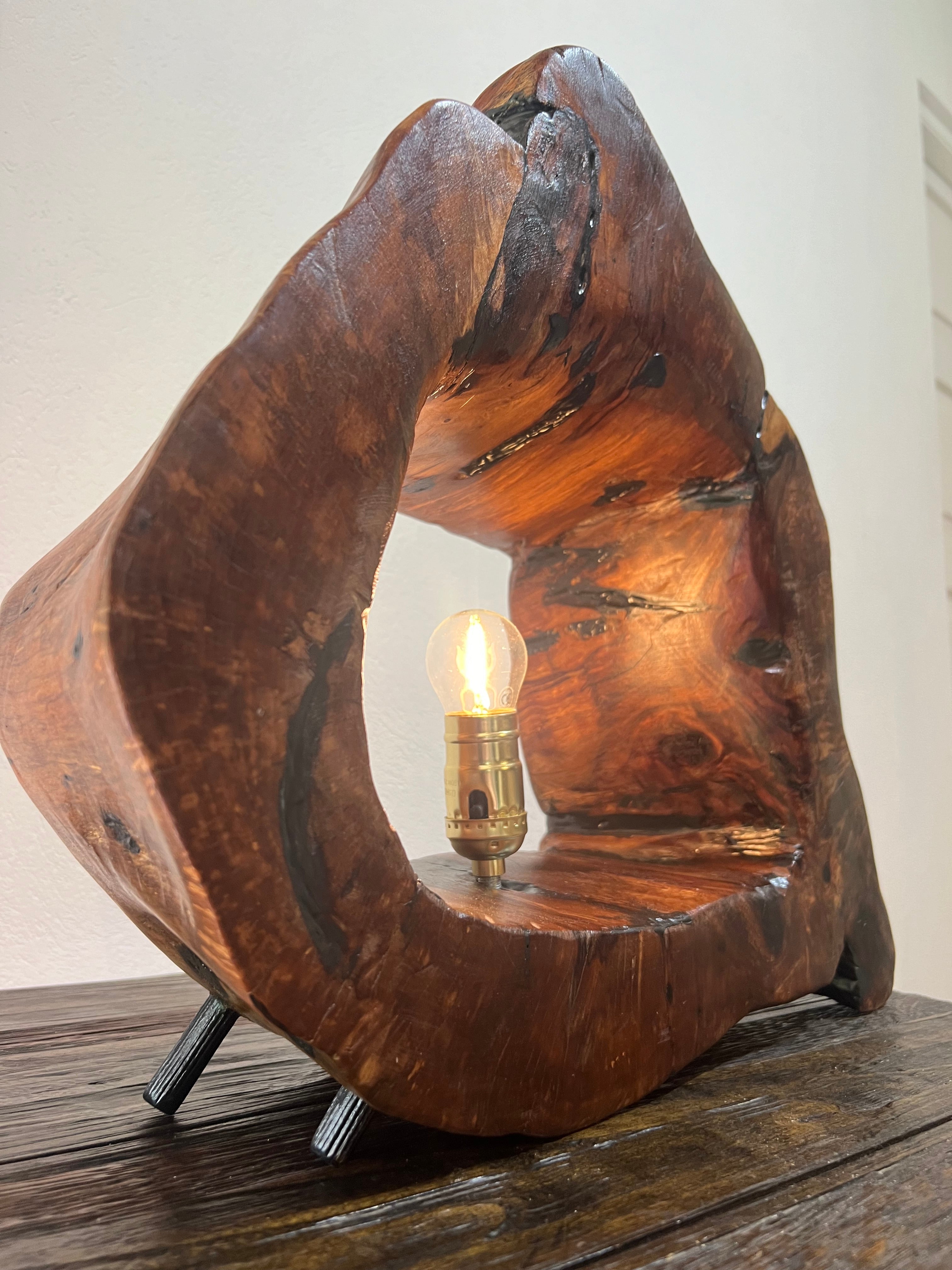 Handmade Casuarina & Epoxy Table Lamp