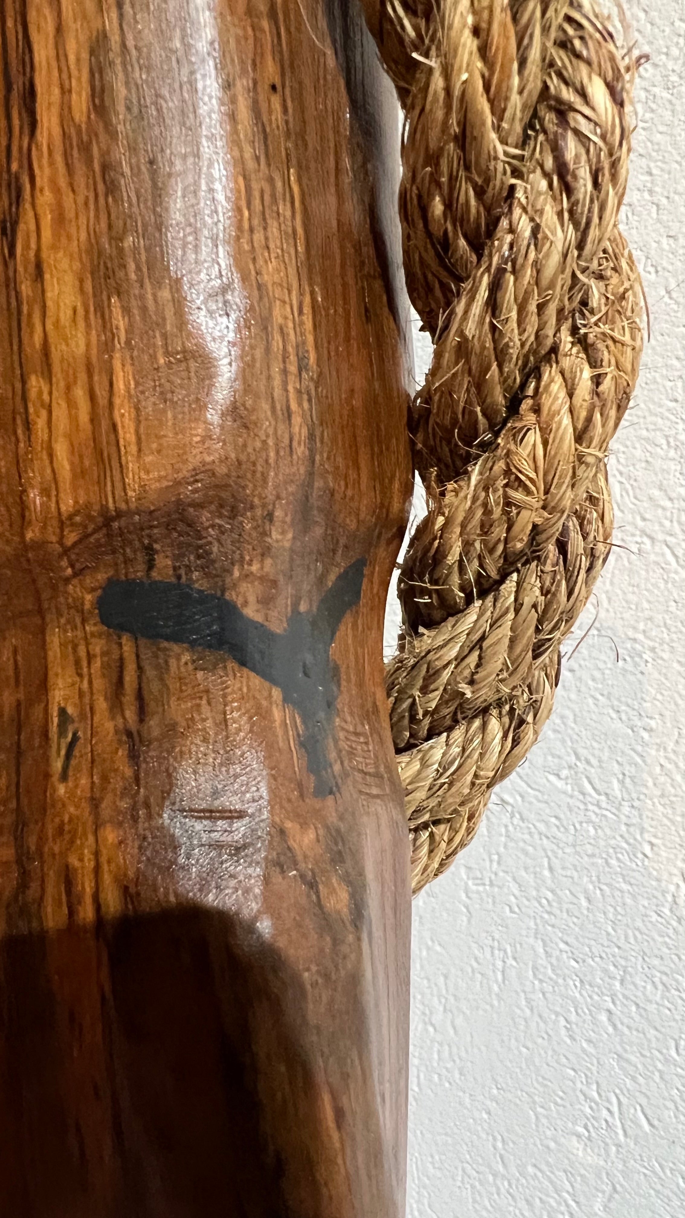Handmade Casuarina Plant Shelf and Lamp