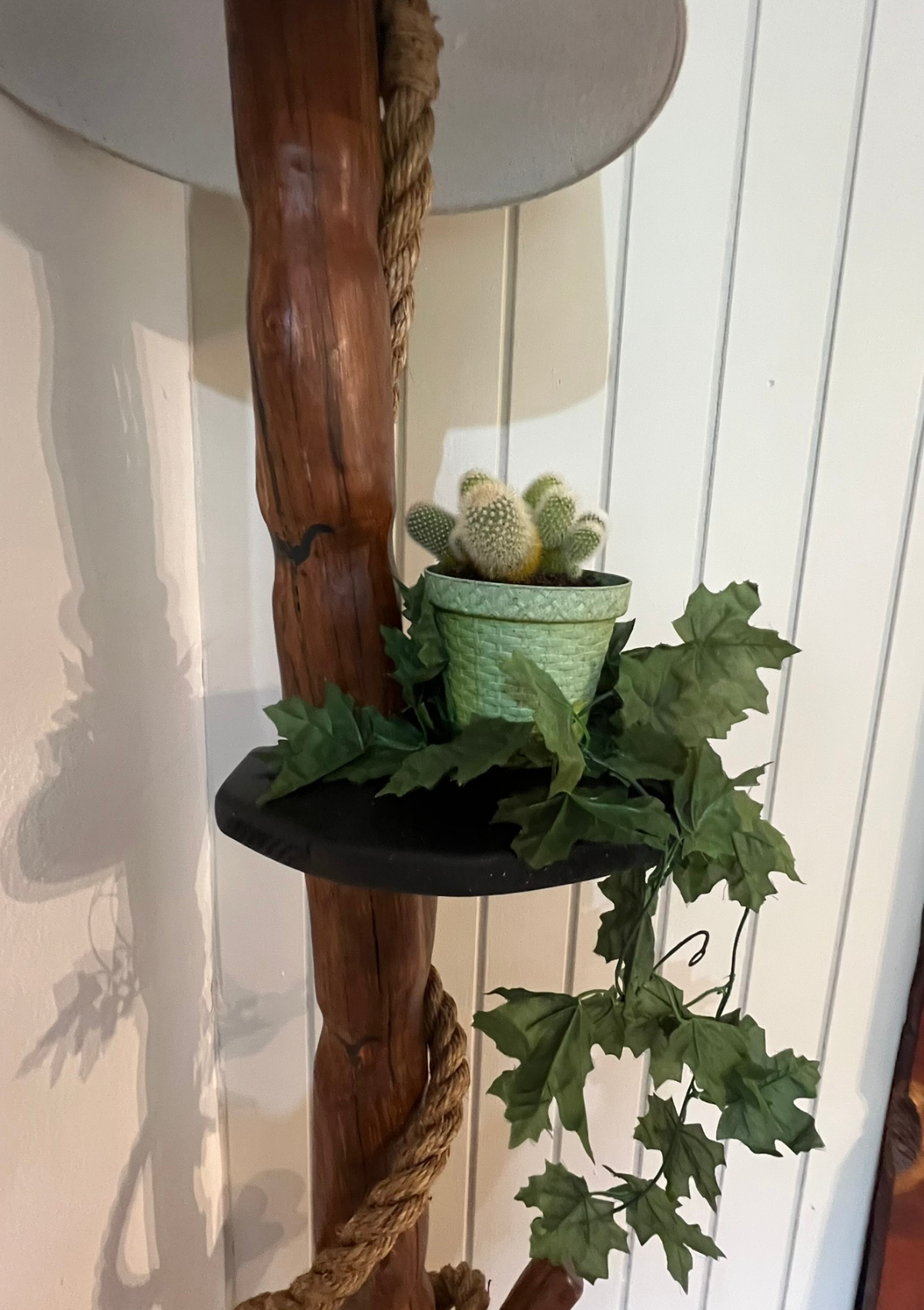 Handmade Casuarina Plant Shelf and Lamp