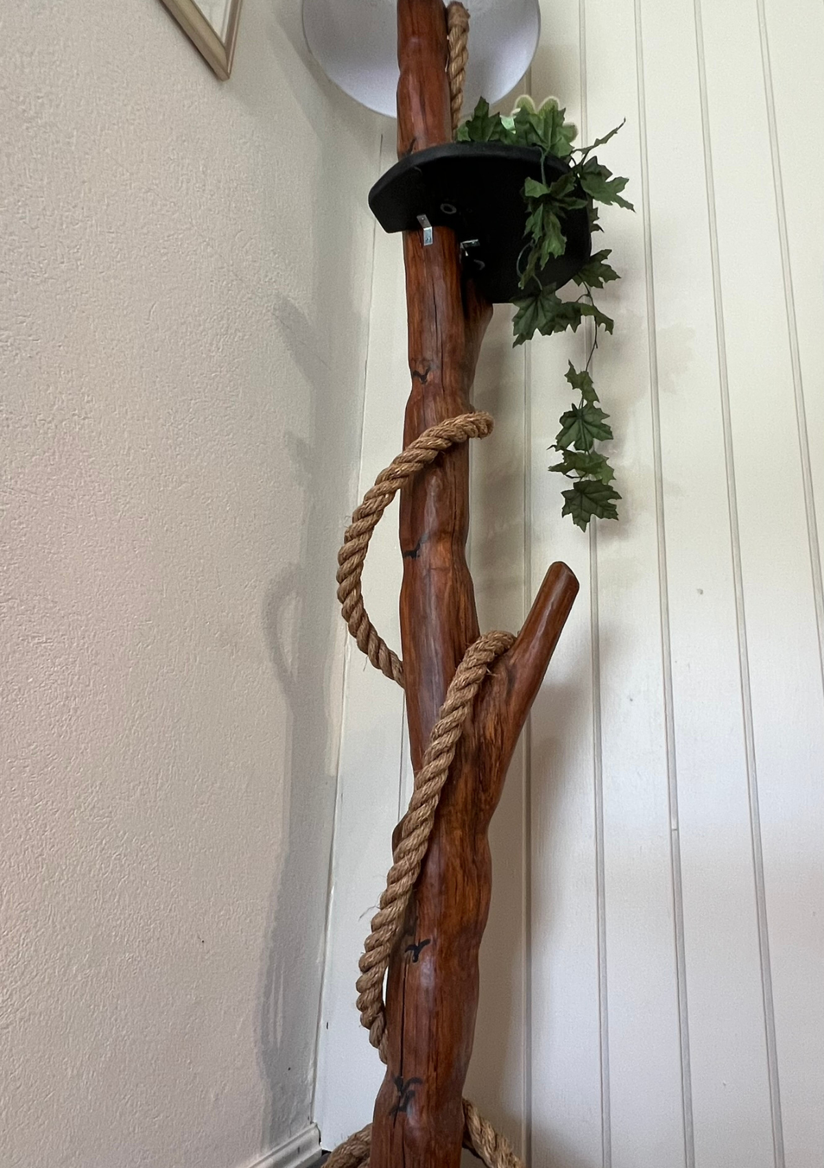 Handmade Casuarina Plant Shelf and Lamp