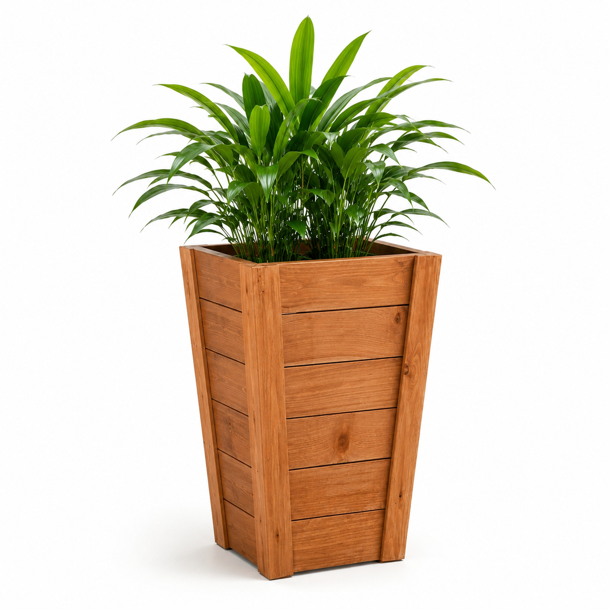 RISE tall tapered stained wooden planter with palm greenery on a white background