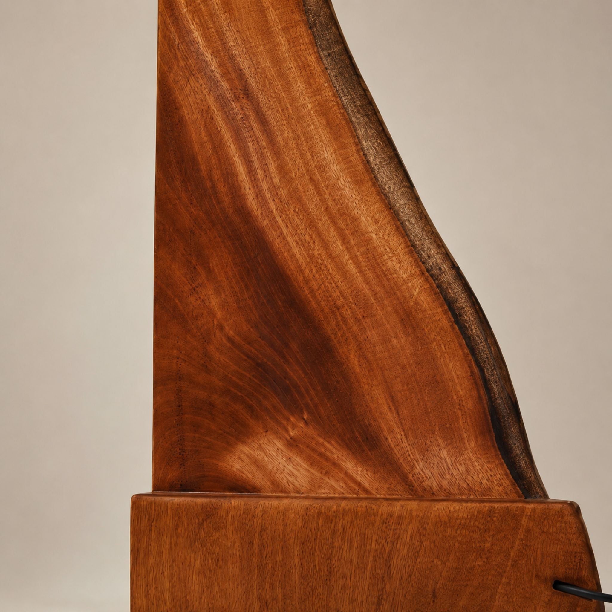 Sculptural Mahogany Floor Lamp