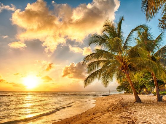 7 Top Tips for Living Affordably in Barbados